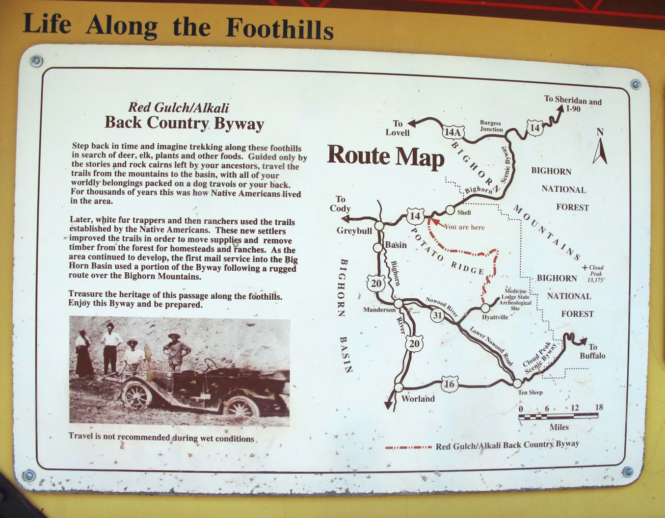 Red Gulch Dinosaur Tracksite